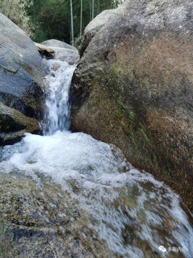 收评：大盘全天震荡调整 景点及旅游板块走强